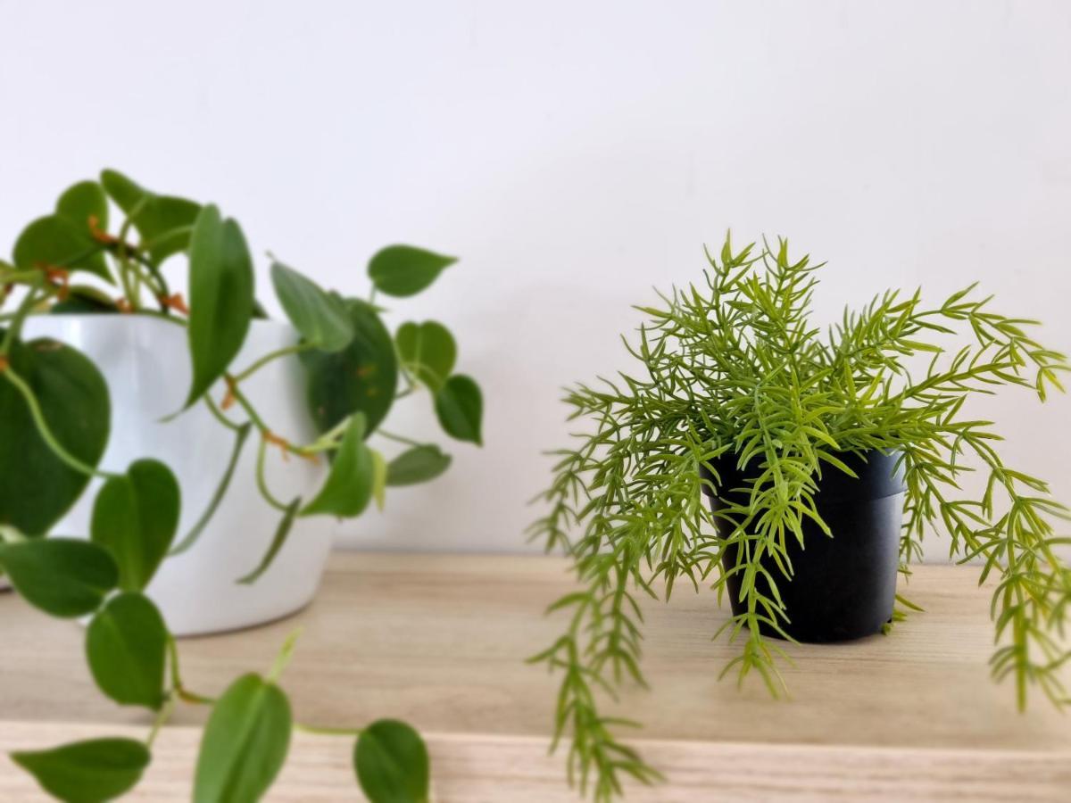 Apartment Ml Opatija 카스타브 외부 사진